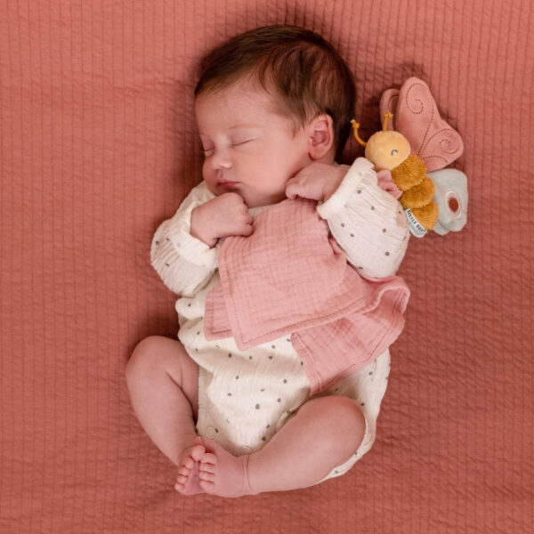 Flowers   Butterflies Gift Box